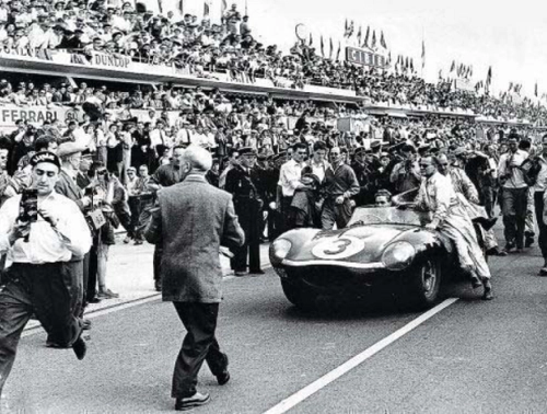 Jaguar D-Type at Le Mans